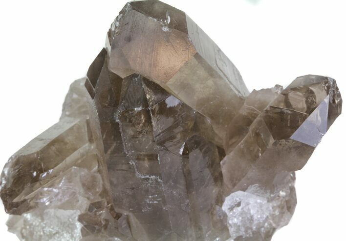 Smoky Quartz Crystal Cluster - Brazil #61462